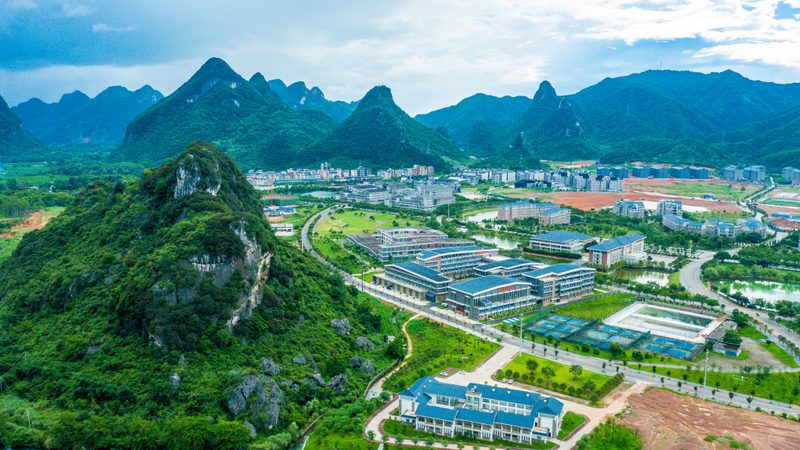 成都电子配件批发：优劣势解析与选购要点