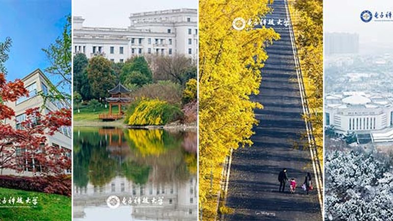 线路板代理加盟门槛高吗